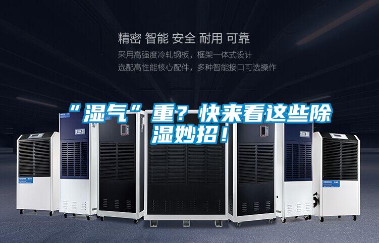 “濕氣”重？快來看這些除濕妙招！