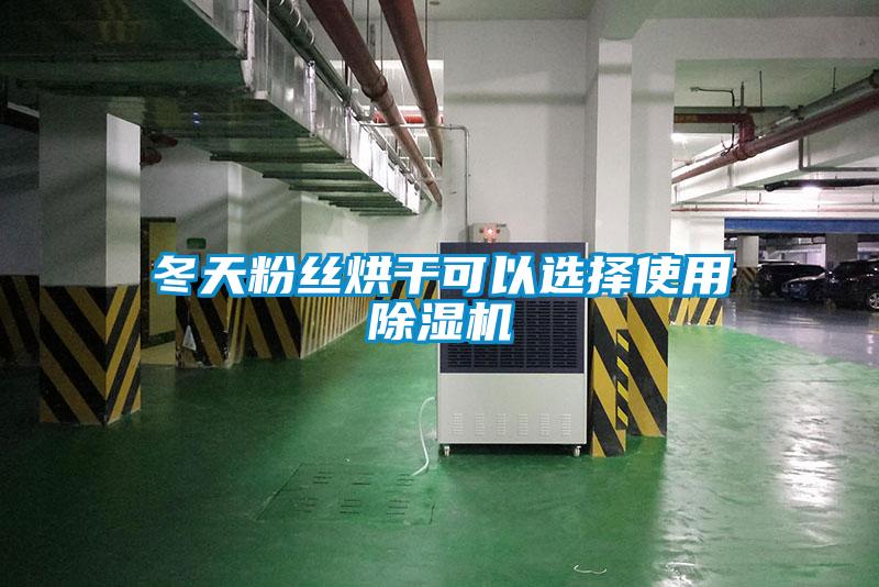 冬天粉絲烘干可以選擇使用除濕機(jī)