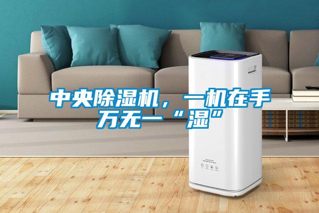 中央除濕機(jī)，一機(jī)在手萬無一“濕”