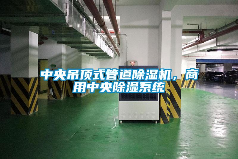 中央吊頂式管道除濕機，商用中央除濕系統(tǒng)