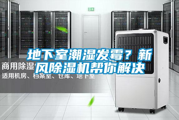 地下室潮濕發霉？新風除濕機幫你解決