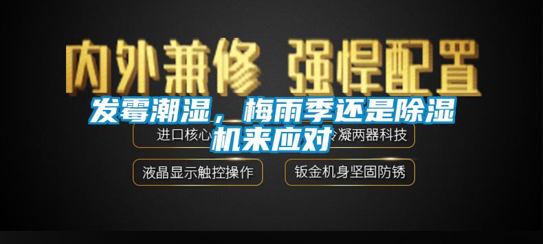 發(fā)霉潮濕，梅雨季還是除濕機(jī)來(lái)應(yīng)對(duì)