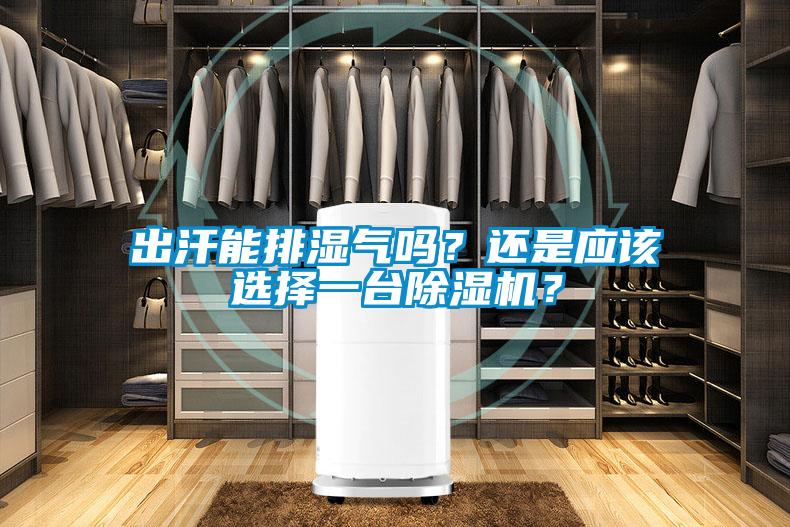 出汗能排濕氣嗎？還是應該選擇一臺除濕機？