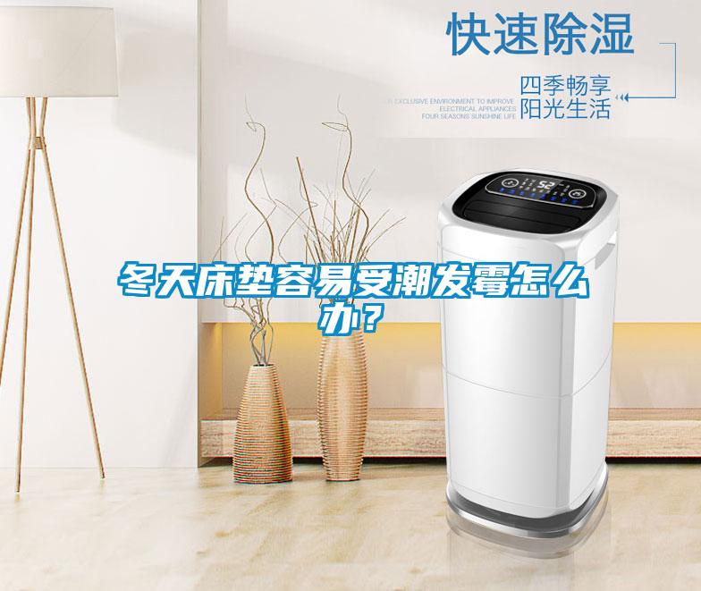 冬天床墊容易受潮發(fā)霉怎么辦？