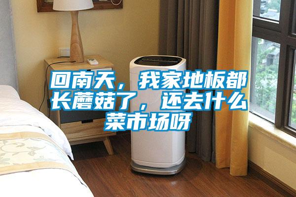 回南天，我家地板都長蘑菇了，還去什么菜市場呀