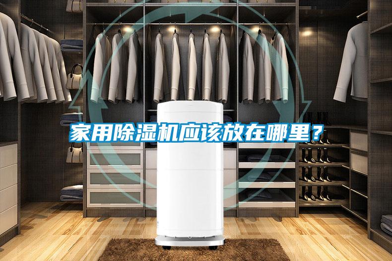 家用除濕機應該放在哪里？