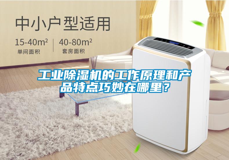 工業(yè)除濕機(jī)的工作原理和產(chǎn)品特點(diǎn)巧妙在哪里？