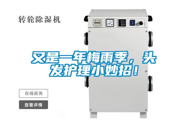 又是一年梅雨季，頭發護理小妙招！