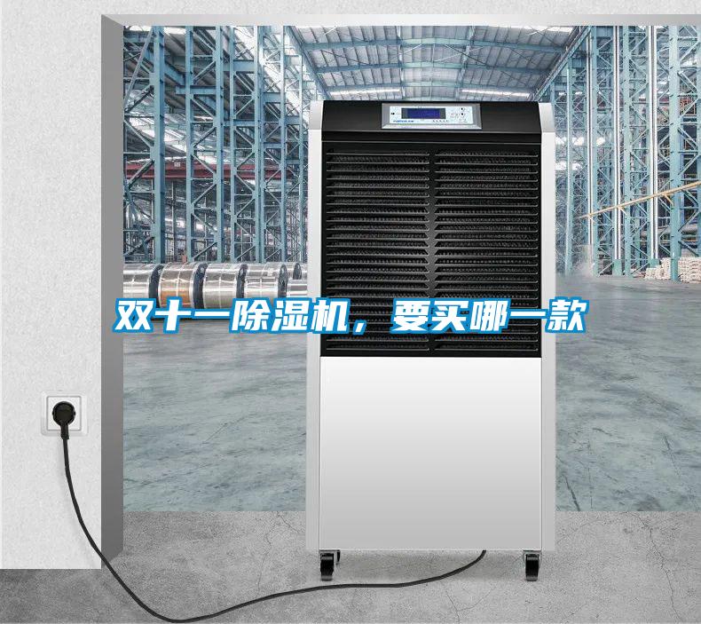雙十一除濕機(jī)，要買哪一款