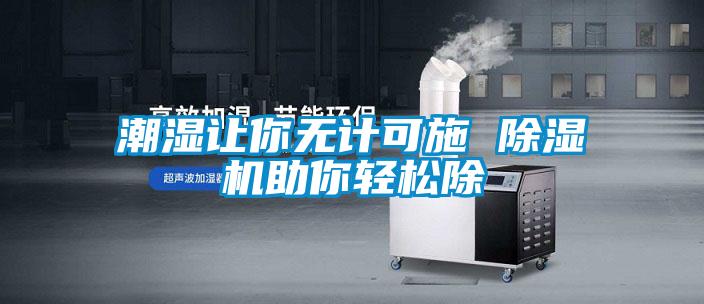 潮濕讓你無計(jì)可施 除濕機(jī)助你輕松除