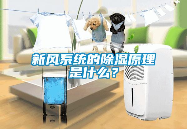 新風系統的除濕原理是什么？