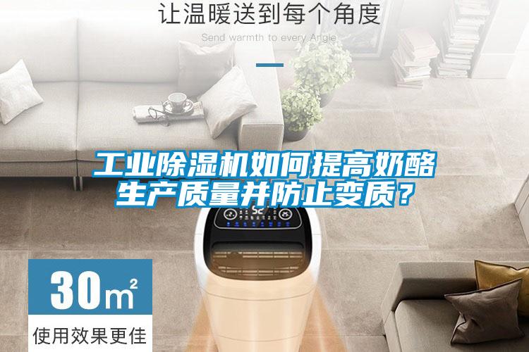 工業(yè)除濕機如何提高奶酪生產(chǎn)質(zhì)量并防止變質(zhì)？