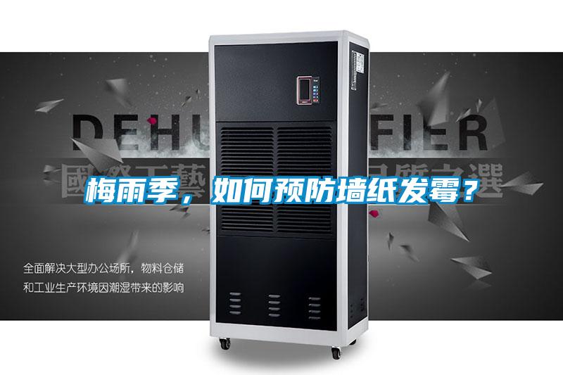 梅雨季，如何預防墻紙發(fā)霉？