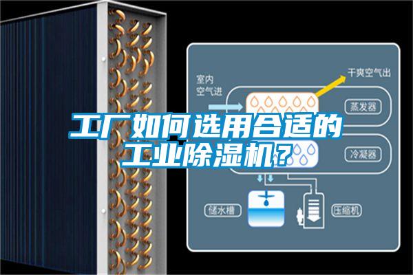 工廠如何選用合適的工業除濕機？