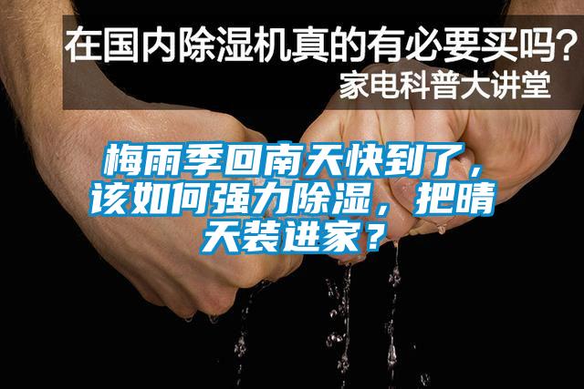 梅雨季回南天快到了，該如何強力除濕，把晴天裝進家？