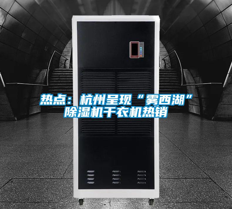 熱點(diǎn)：杭州呈現(xiàn)“霧西湖”除濕機(jī)干衣機(jī)熱銷