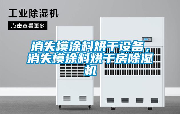 消失模涂料烘干設(shè)備，消失模涂料烘干房除濕機(jī)