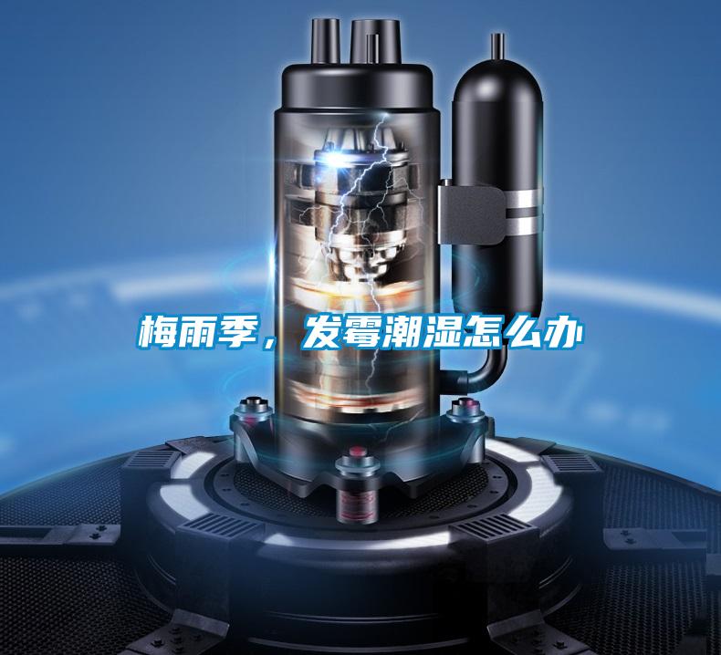梅雨季，發霉潮濕怎么辦