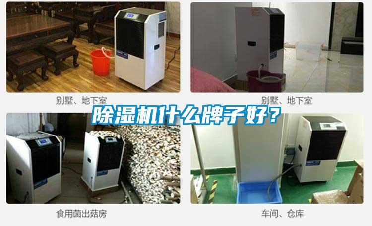 除濕機什么牌子好？