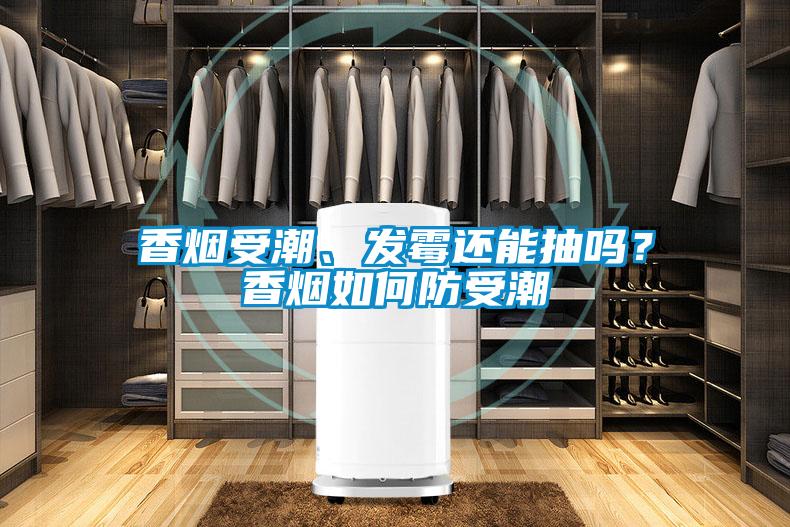 香煙受潮、發霉還能抽嗎？香煙如何防受潮