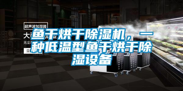 魚干烘干除濕機(jī)，一種低溫型魚干烘干除濕設(shè)備