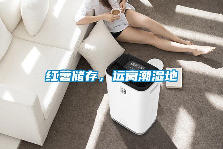 紅薯儲存，遠離潮濕地