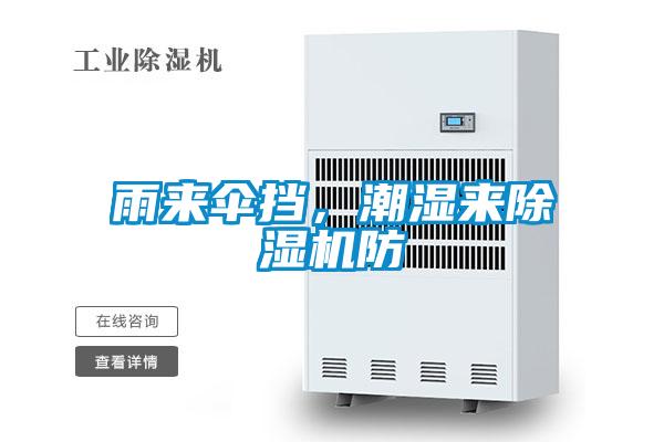 雨來傘擋，潮濕來除濕機防