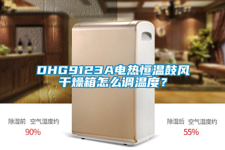 DHG9123A電熱恒溫鼓風干燥箱怎么調(diào)溫度？