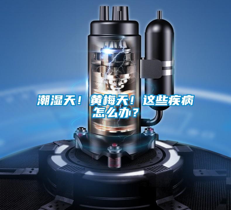 潮濕天！黃梅天！這些疾病怎么辦？