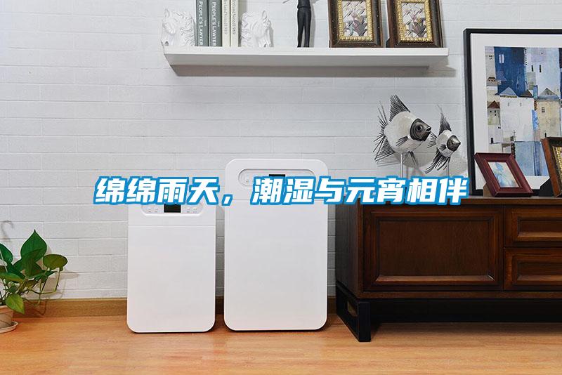 綿綿雨天，潮濕與元宵相伴