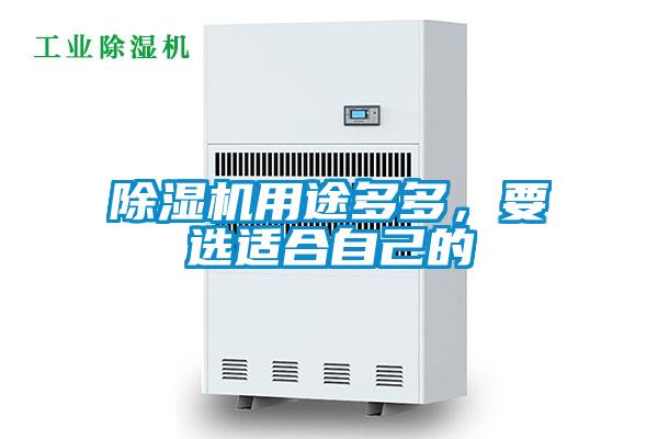 除濕機用途多多，要選適合自己的