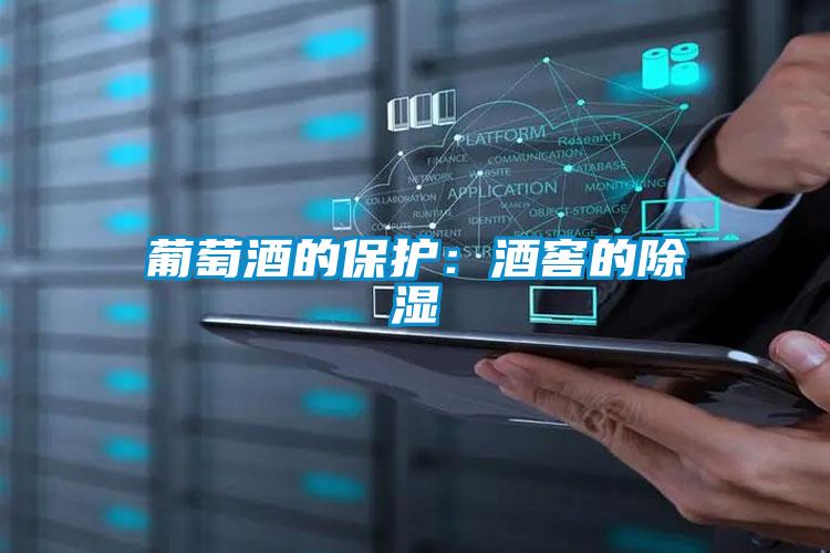 葡萄酒的保護(hù)：酒窖的除濕