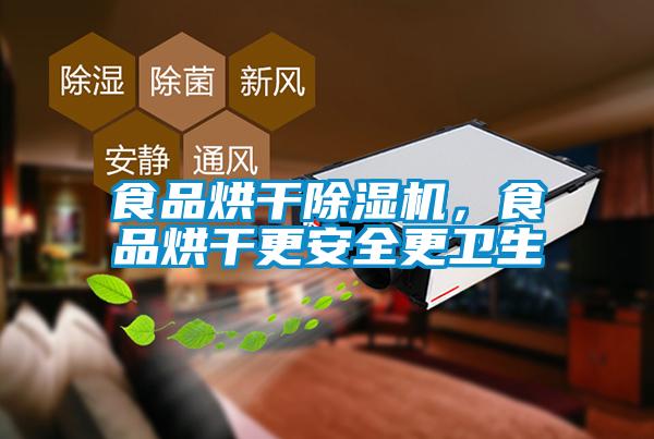 食品烘干除濕機，食品烘干更安全更衛生