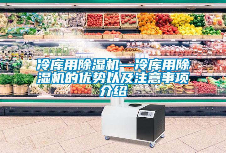 冷庫用除濕機—冷庫用除濕機的優勢以及注意事項介紹