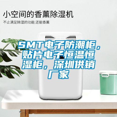 SMT電子防潮柜，貼片電子恒溫恒濕柜，深圳供銷廠家
