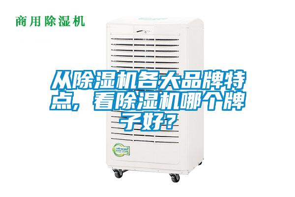 從除濕機各大品牌特點, 看除濕機哪個牌子好？