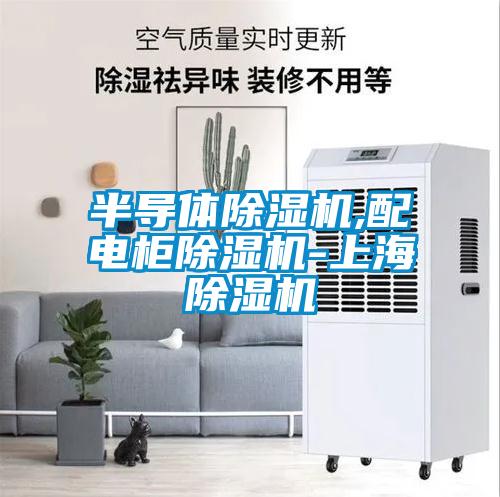 半導(dǎo)體除濕機,配電柜除濕機-上海除濕機