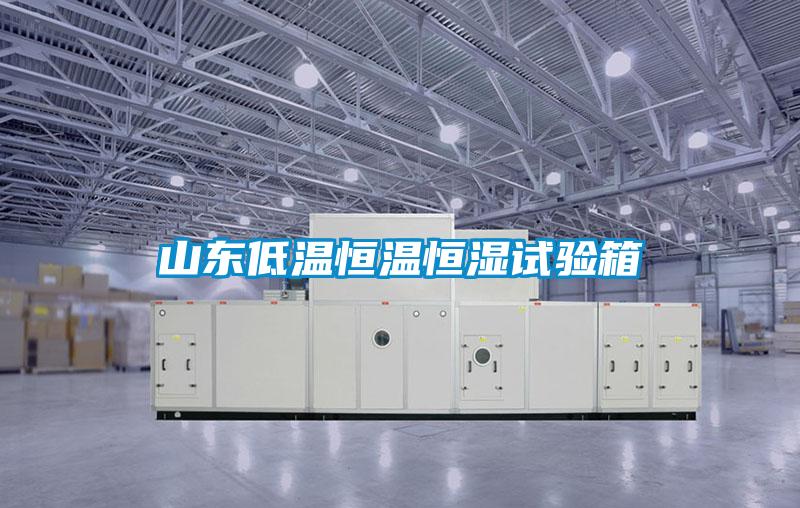 山東低溫恒溫恒濕試驗箱