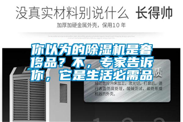 你以為的除濕機是奢侈品？不，專家告訴你，它是生活必需品