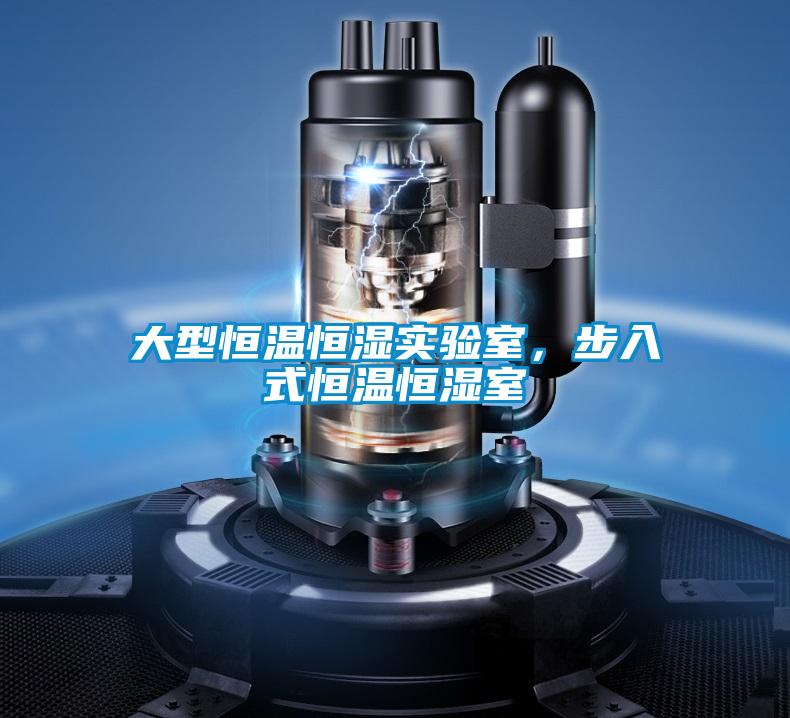 大型恒溫恒濕實(shí)驗(yàn)室，步入式恒溫恒濕室