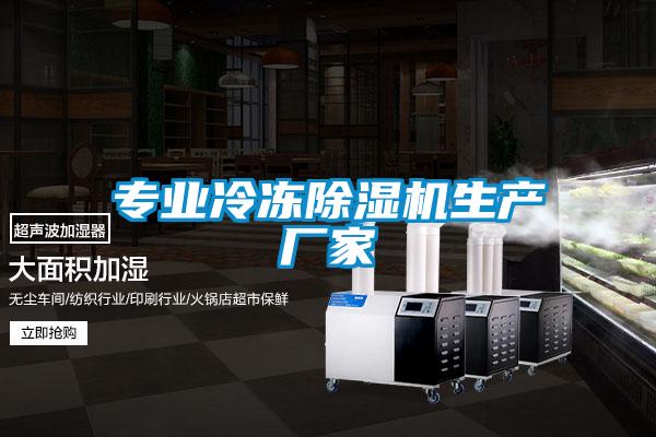 專(zhuān)業(yè)冷凍除濕機(jī)生產(chǎn)廠家