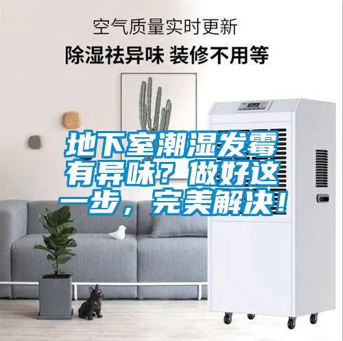 地下室潮濕發霉有異味？做好這一步，完美解決！