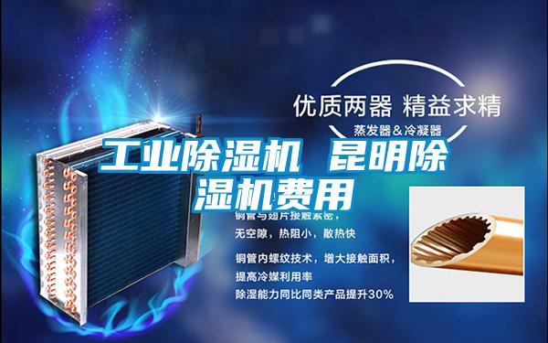 工業(yè)除濕機(jī) 昆明除濕機(jī)費(fèi)用