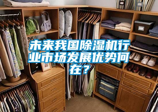 未來我國除濕機(jī)行業(yè)市場發(fā)展優(yōu)勢何在？
