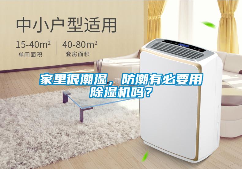 家里很潮濕，防潮有必要用除濕機嗎？