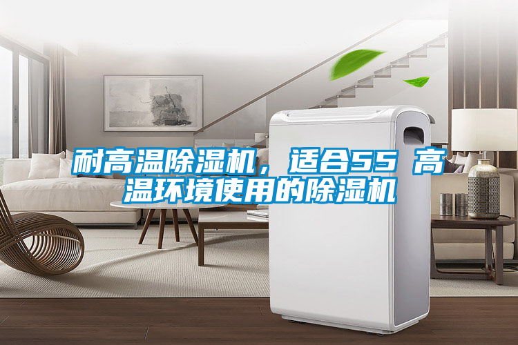 耐高溫除濕機，適合55℃高溫環境使用的除濕機