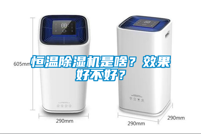 恒溫除濕機是啥？效果好不好？
