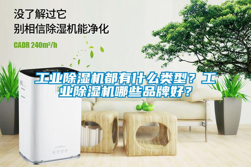 工業(yè)除濕機都有什么類型？工業(yè)除濕機哪些品牌好？
