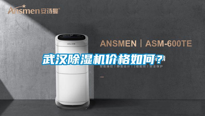武漢除濕機價格如何？