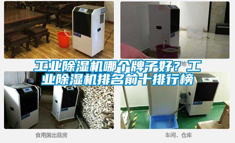 工業除濕機哪個牌子好？工業除濕機排名前十排行榜